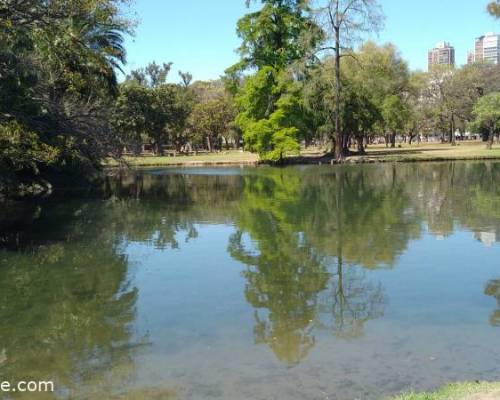 27184 6 CAMINATA - TAI CHI Y MEDITACIÓN en el LAGO ESCONDIDO de PALERMO.-