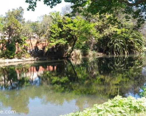 27184 7 CAMINATA - TAI CHI Y MEDITACIÓN en el LAGO ESCONDIDO de PALERMO.-