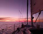 NAVEGAMOS EN VELERO POR LA COSTA TIGRE-OLIVOS : mañana pronostican bien tiempo y sol , mejor dia de semana todo el rio para nosotros . Llegaremos a Uruguay o Rio de Janeiro ? no lo sabemos . Todo al 