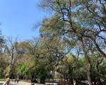 CAMINATA EN PRIMAVERA OJO!!! "CAMBIO DE HORA Y LUGAR DE ENCUENTRO" : Lamento no haber podido llegar. Camine un poco y volví el calor y el sol era demasiado para mí. Será la próxima. Cariños