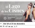 EL LAGO DE LOS CISNES - Montevideo  : Que bueno !!! Que lindas fotos !! 
Felictiaciones !! 