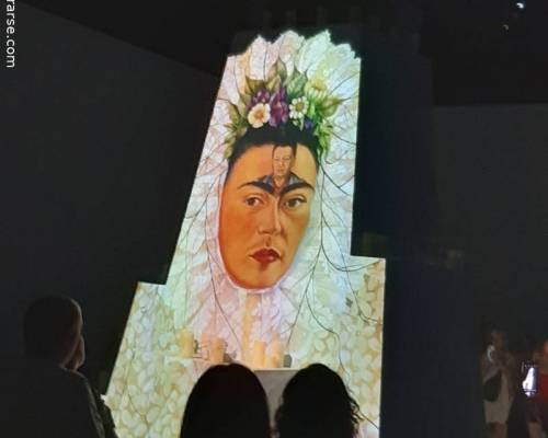 27454 5 FRIDA KAHLO EXPERIENCIA INMERSIVA