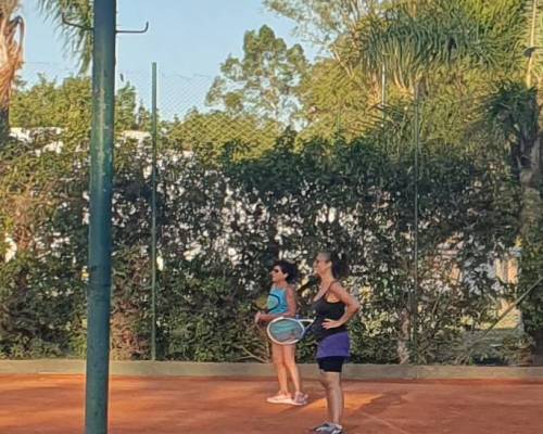 27888 1 TENIS del Domingo rodeado de verde 