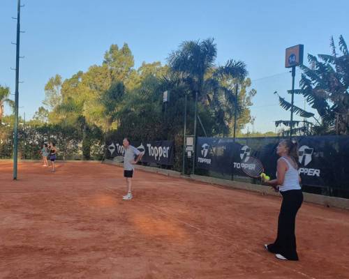 27888 6 TENIS del Domingo rodeado de verde 