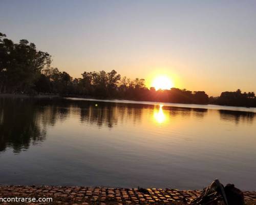 28225 4 CAMINAMOS NUEVAMENTE  POR LOS BOSQUES DE PALERMO