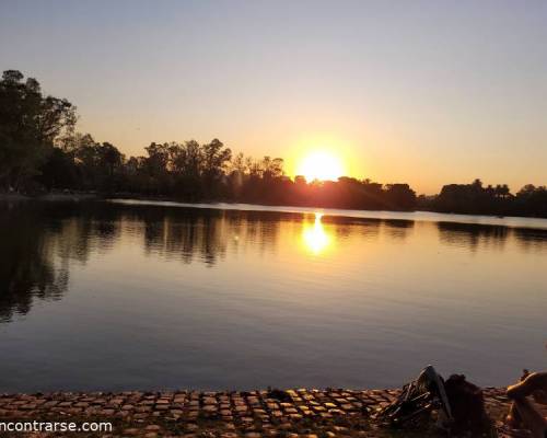 28225 5 CAMINAMOS NUEVAMENTE  POR LOS BOSQUES DE PALERMO