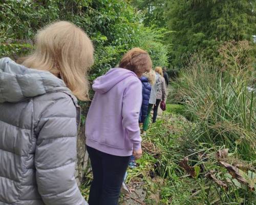 28416 7 CAMINANTES, en esta oportunidad nos iremos a pasar un dia a UNA ISLA EN EL TIGRE