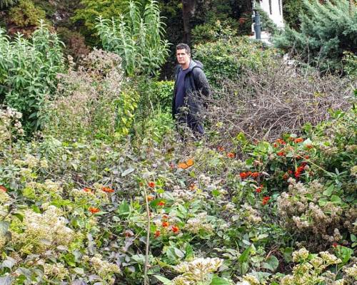 Buenísima tu salida del domingo Cintia !! Linda además para despuntar uno de mis hobbies: sí, tomar fotos !! 😂  :Encuentro Grupal JARDÍN BOTÁNICO: VISITA GUIADA Y JADÍN DE MARIPOSAS. En el medio, almuerzo en El Galeón
