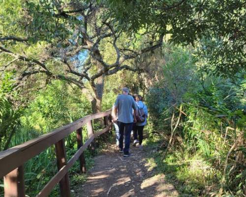 28535 8 CAMINANTES, teniamos una asignatura pendiente, LA RESERVA  RIVERA NORTE, hacia alla vamos