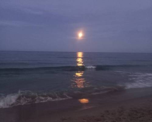 29117 1 1er Encuentro Aperitivo y Salida de la Luna Llena en Alicante 