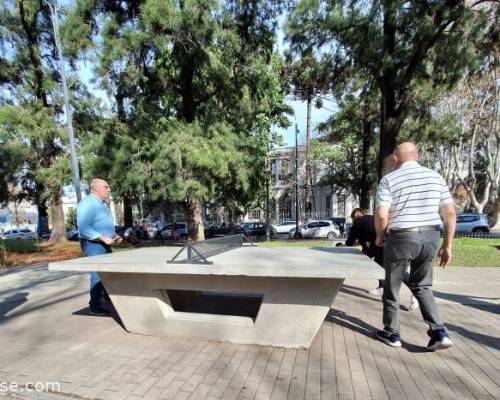 29259 1 Nos volvemos a juntar a jugar Ping Pong ? 