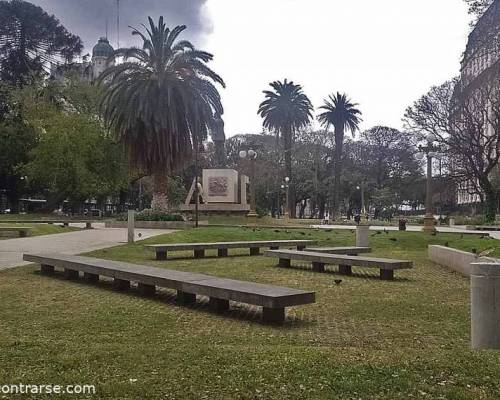 29479 19 SAN TELMO o PUERTO MADERO en Feriado mas no puedo