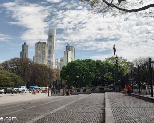 30050 2 Recorremos la Reserva Ecológica de Costanera Sur en bicicleta, o caminando, a gusto del consumidor!!!