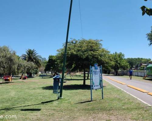 30125 12 JUGAMOS AL TEJO, MATEAMOS Y CONVERSAMOS EN EL PARQUE FINKY DE LOMAS DE ZAMORA