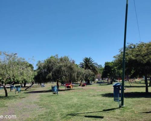 30125 13 JUGAMOS AL TEJO, MATEAMOS Y CONVERSAMOS EN EL PARQUE FINKY DE LOMAS DE ZAMORA