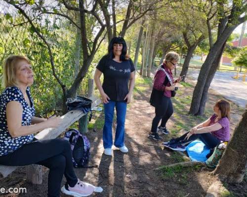 30125 15 JUGAMOS AL TEJO, MATEAMOS Y CONVERSAMOS EN EL PARQUE FINKY DE LOMAS DE ZAMORA