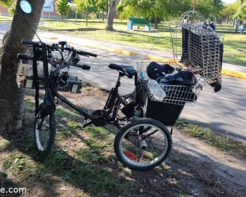 30125 18 JUGAMOS AL TEJO, MATEAMOS Y CONVERSAMOS EN EL PARQUE FINKY DE LOMAS DE ZAMORA