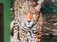 10/06:TIGRE  zona de quintas Históricas y Puerto d : lindisima salida que me permitio conocer  a otros compas  de encontrarse,los conocimientos de Gabi apartando otras informaciones de cada uno de lo