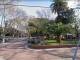 MATEAMOS EN LA PLAZA DE MARTINEZ?..: Linda compañía, linda charla y cafecito! |