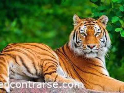 Encuentro TIGRE  zona de quintas Históricas y Puerto de Fru
