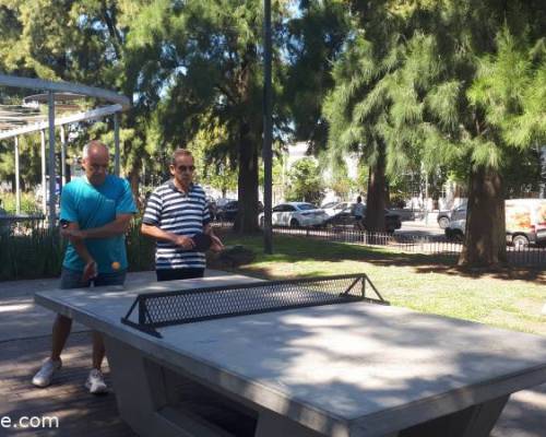 30798 6 Ping Pong venite a jugar y compartir un rato en Devoto