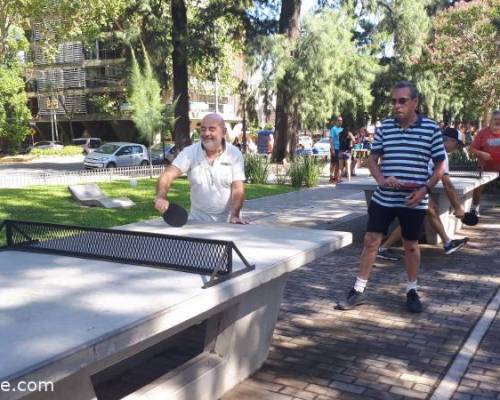 30798 7 Ping Pong venite a jugar y compartir un rato en Devoto