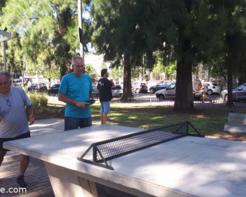 30798 8 Ping Pong venite a jugar y compartir un rato en Devoto