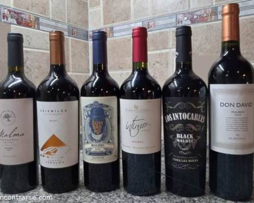 31030 20 ¿FESTEJAMOS JUNTOS EL DÍA INTERNACIONAL DEL MALBEC?