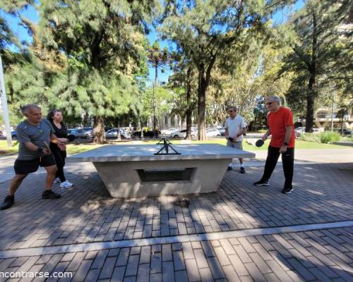 31072 1 Ping Pong venite a jugar y compartir un rato en Devoto