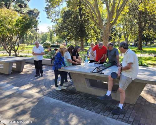 31072 4 Ping Pong venite a jugar y compartir un rato en Devoto