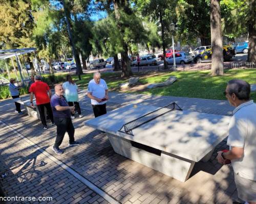 31072 9 Ping Pong venite a jugar y compartir un rato en Devoto