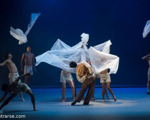 31177 11 Ballet Contemporáneo del Teatro San Martín - Duggan + Berrueta - Los gestos de la sal - El eco de las manos 