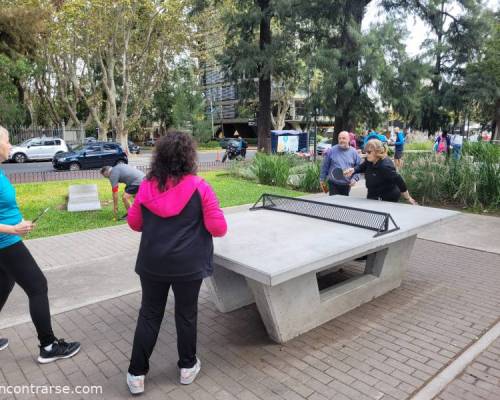 31305 1 Ping Pong venite a jugar y compartir un rato en Devoto