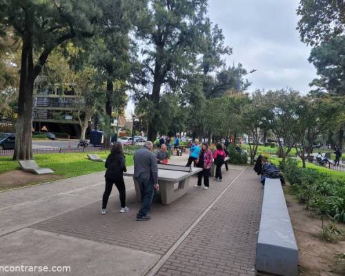 31305 3 Ping Pong venite a jugar y compartir un rato en Devoto