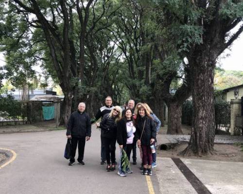 31361 6 CAMINAMOS Y NOS VINCULAMOS?