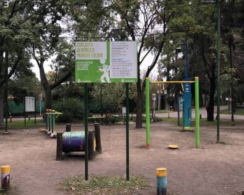 31361 7 CAMINAMOS Y NOS VINCULAMOS?