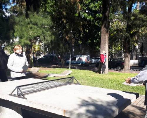 31420 4 Ping Pong venite a jugar y compartir un rato en Devoto