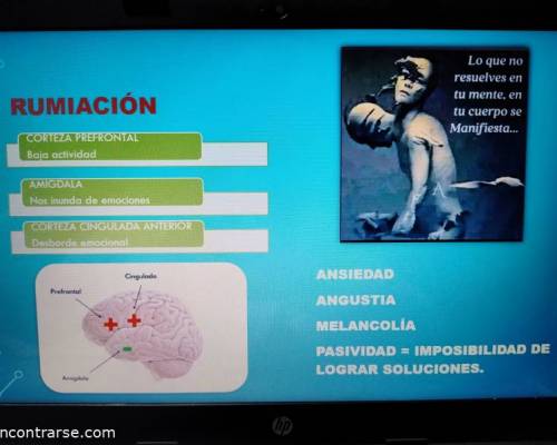 31433 9 TALLER DE GESTIÓN DE EMOCIONES -segundo encuentro-
