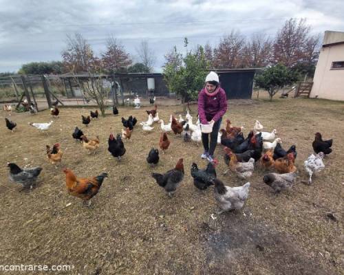 Silvi, justificando su día de laburo en el campo :Encuentro Grupal Día de Campo en Carlos Keen!!