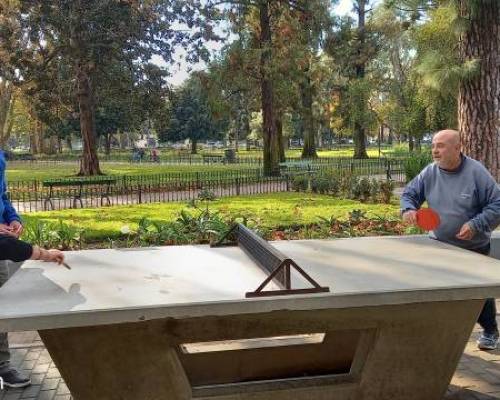 31516 2 Ping Pong venite a jugar y compartir un rato en Devoto