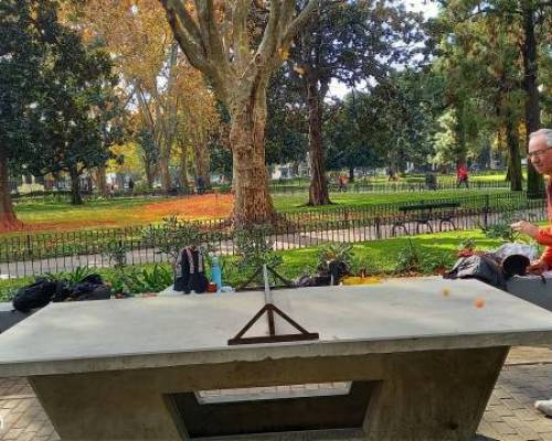31516 3 Ping Pong venite a jugar y compartir un rato en Devoto