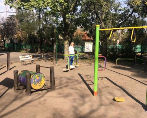31559 6 CAMINAMOS, TROTAMOS Y NOS VINCULAMOS! 