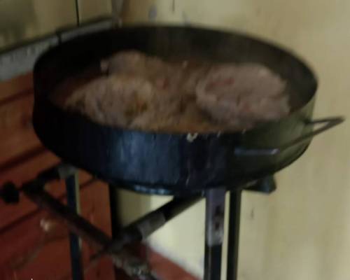 31559 79 CAMINAMOS, TROTAMOS Y NOS VINCULAMOS! 