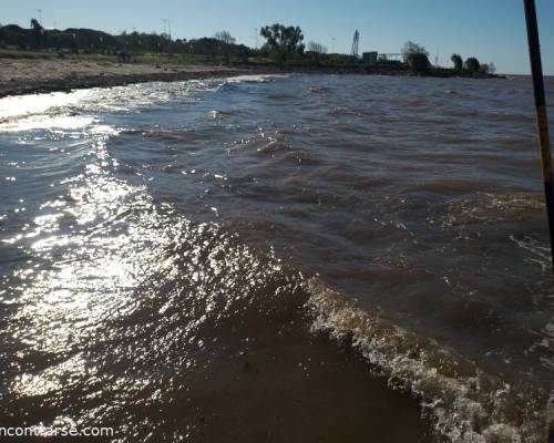 31615 31 Picnic en Vicente Lopez