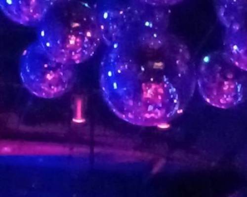 31626 17 CENA Y BAILE EN LA CITY !