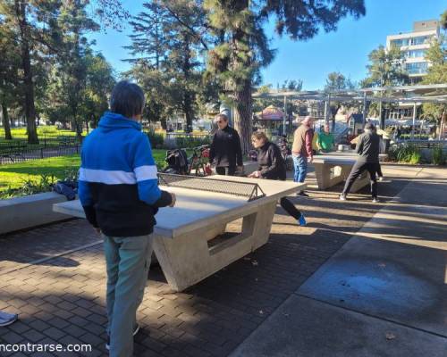 31627 6 Ping Pong venite a jugar y compartir un rato en Devoto