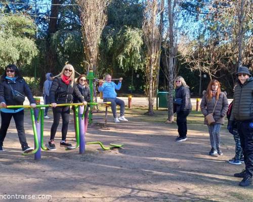 31710 17 CAMINAMOS, TROTAMOS Y NOS VINCULAMOS! 