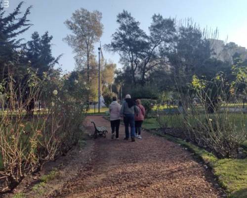 31720 13 Caminatas y algo más... (Ejercicios y elongación) 
