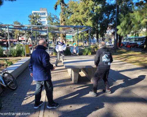 31729 4 Ping Pong venite a jugar y compartir un rato en Devoto