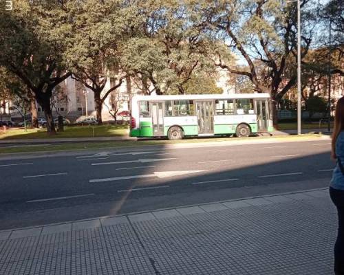 31781 11 SAN TELMO  un clásico bello y esbelto !!!!!
